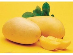 आम का रस पाउडर