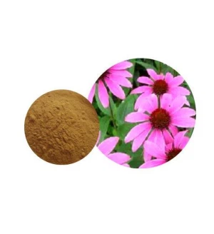 Coneflower Extract