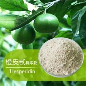 हेस्पेरिडिन पाउडर