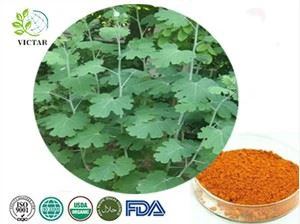 गुलाबी plumepoppy निकालें