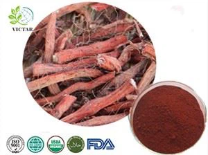 साल्विया Miltiorrhiza निकालें